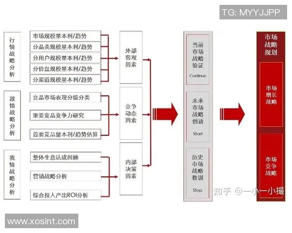 杭州篮球队的节奏探秘：从战术布局到球员配合的全景分析