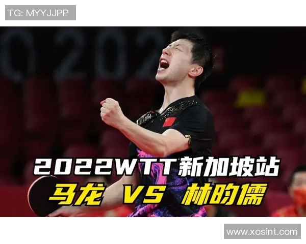 深圳排球队战术表现深度解析与大满贯点评 深圳排球队战术表现深度解析与大满贯点评