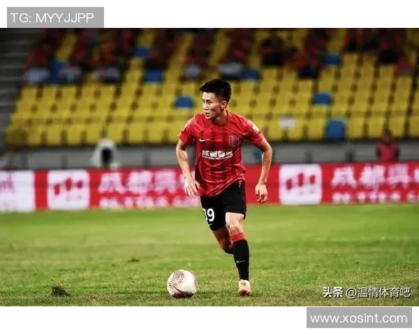 西安篮球队技术解析：从战术布局到球员配合的全面探讨