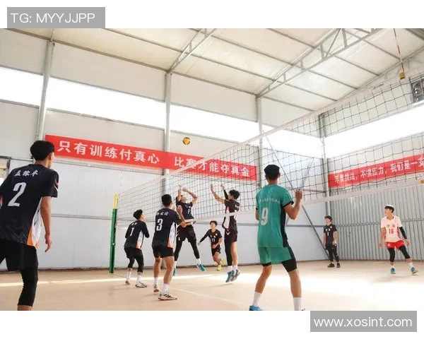 排球战术分析揭晓北京排球队荣登第九名榜单